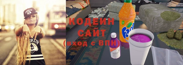 индика Нягань