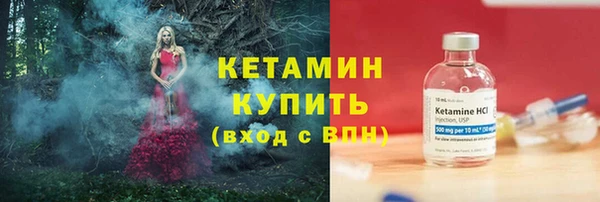 индика Нягань
