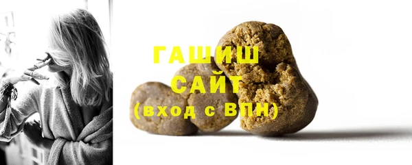 индика Нягань