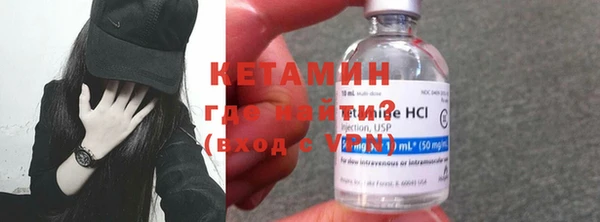 индика Нягань
