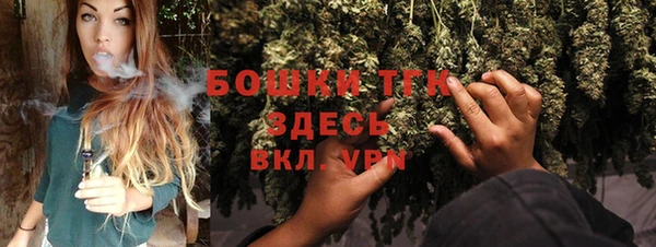 PSILOCYBIN Няндома