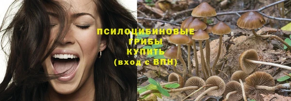 эйфоретик Абаза