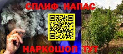 индика Пушкино