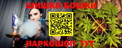 индика Пушкино