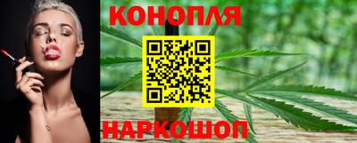 индика Пушкино
